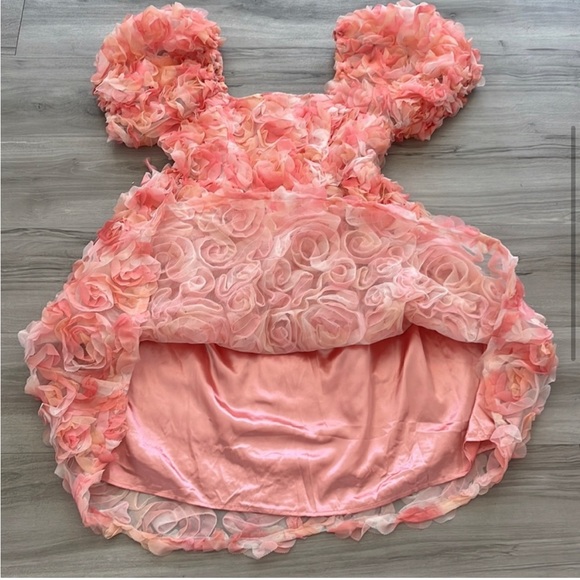 CES FEMME Dress Lace Ruffles Tule With Puff Sleeves Pink Size S - Picture 3 of 16